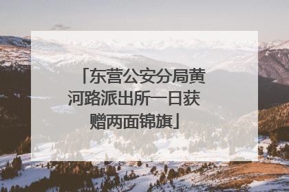 东营公安分局黄河路派出所一日获赠两面锦旗