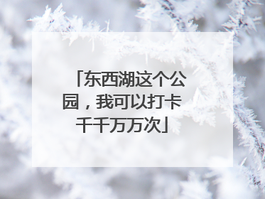 东西湖这个公园，我可以打卡千千万万次