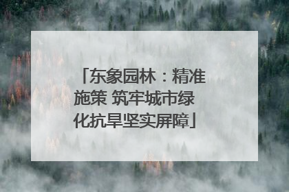 东象园林：精准施策 筑牢城市绿化抗旱坚实屏障
