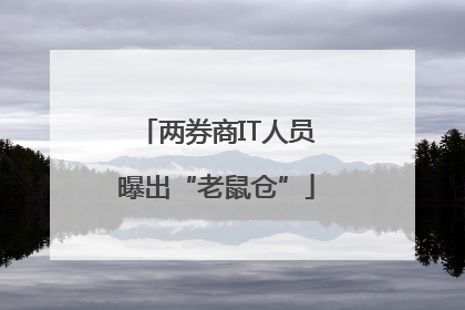 两券商IT人员曝出“老鼠仓”