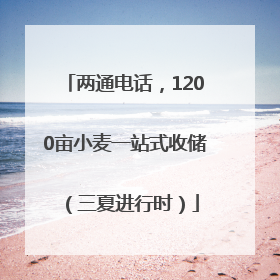 两通电话，1200亩小麦一站式收储（三夏进行时）