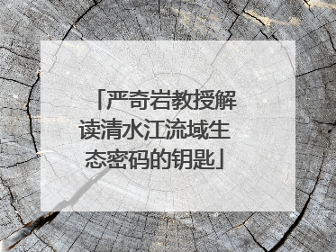 严奇岩教授解读清水江流域生态密码的钥匙