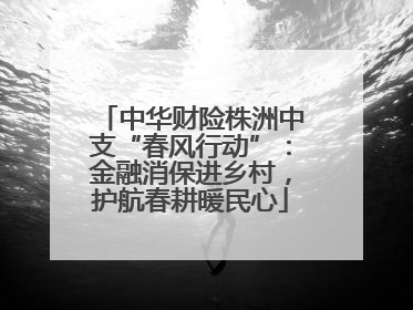 中华财险株洲中支“春风行动”：金融消保进乡村，护航春耕暖民心