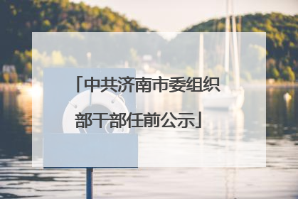 中共济南市委组织部干部任前公示