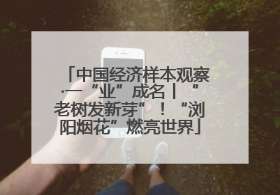 中国经济样本观察·一“业”成名丨“老树发新芽”！“浏阳烟花”燃亮世界