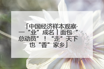 中国经济样本观察·一“业”成名丨面包“总动员”！“走”天下也“香”家乡