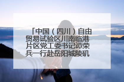 中国（四川）自由贸易试验区川南临港片区党工委书记谭荣兵一行赴岳阳城陵矶综保区考察
