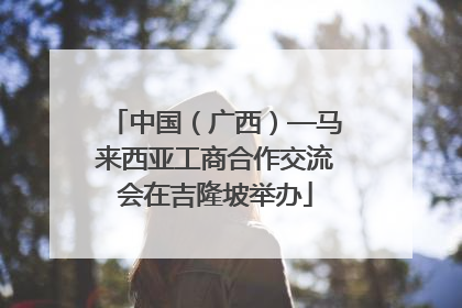 中国（广西）—马来西亚工商合作交流会在吉隆坡举办
