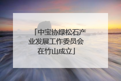 中宝协绿松石产业发展工作委员会在竹山成立