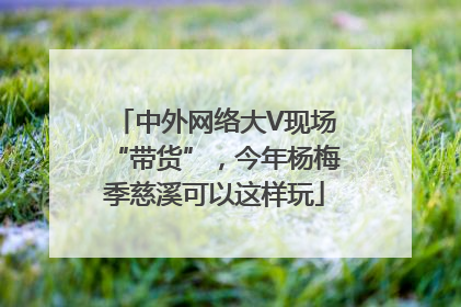 中外网络大V现场“带货”，今年杨梅季慈溪可以这样玩