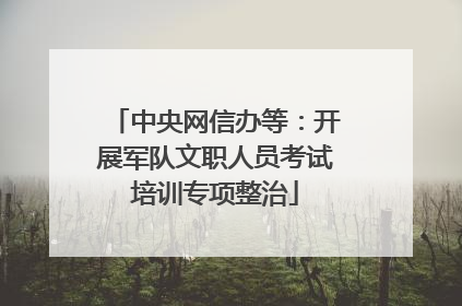 中央网信办等：开展军队文职人员考试培训专项整治
