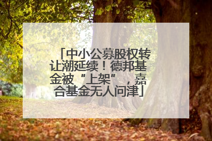 中小公募股权转让潮延续！德邦基金被“上架”，嘉合基金无人问津