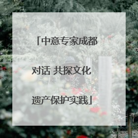 中意专家成都对话 共探文化遗产保护实践