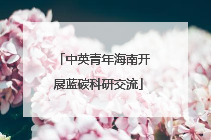中英青年海南开展蓝碳科研交流