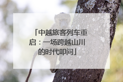 中越旅客列车重启：一场跨越山川的时代叩问