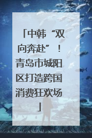 中韩“双向奔赴”！青岛市城阳区打造跨国消费狂欢场