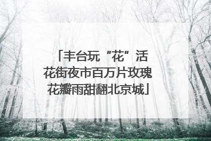 丰台玩“花”活 花街夜市百万片玫瑰花瓣雨甜翻北京城