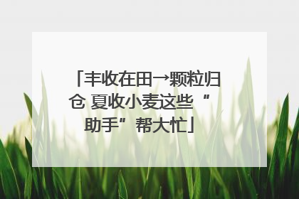 丰收在田→颗粒归仓 夏收小麦这些“助手”帮大忙