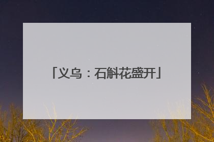 义乌：石斛花盛开
