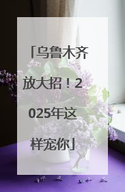 乌鲁木齐放大招！2025年这样宠你