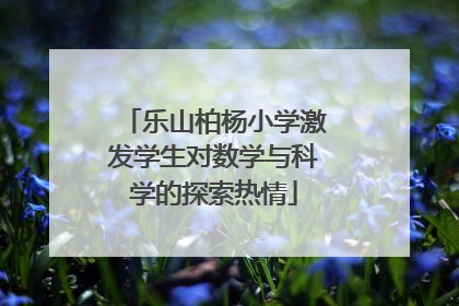 乐山柏杨小学激发学生对数学与科学的探索热情