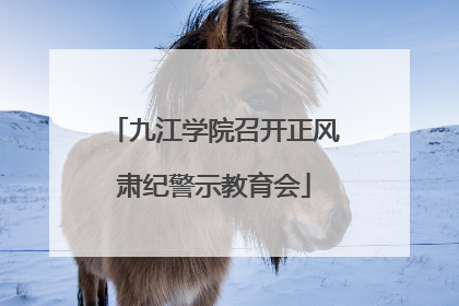 九江学院召开正风肃纪警示教育会