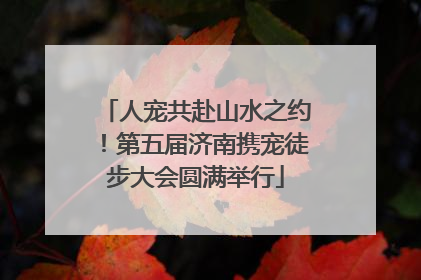 人宠共赴山水之约！第五届济南携宠徒步大会圆满举行