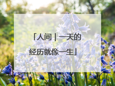 人间｜一天的经历就像一生