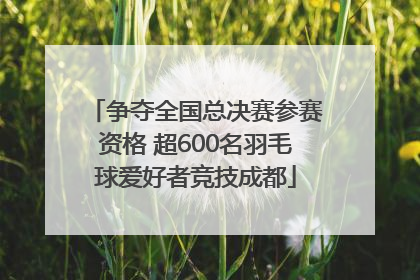 争夺全国总决赛参赛资格 超600名羽毛球爱好者竞技成都