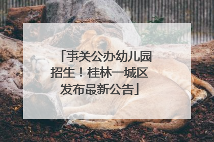 事关公办幼儿园招生！桂林一城区发布最新公告
