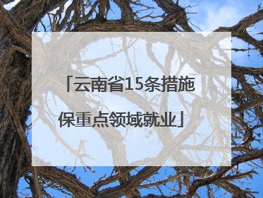 云南省15条措施保重点领域就业