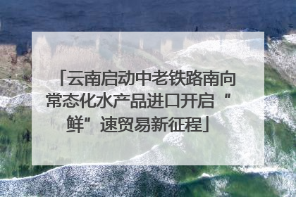 云南启动中老铁路南向常态化水产品进口开启“鲜”速贸易新征程