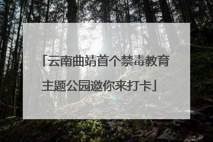 云南曲靖首个禁毒教育主题公园邀你来打卡