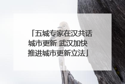 五城专家在汉共话城市更新 武汉加快推进城市更新立法