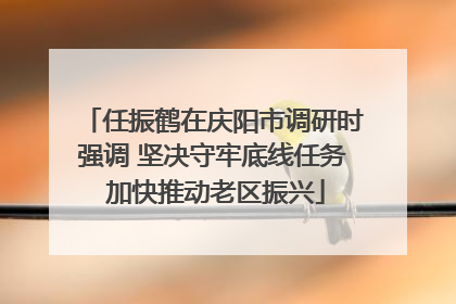 任振鹤在庆阳市调研时强调 坚决守牢底线任务 加快推动老区振兴