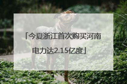 今夏浙江首次购买河南电力达2.15亿度