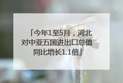 今年1至5月，河北对中亚五国进出口总值同比增长1.1倍