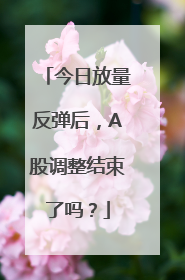 今日放量反弹后，A股调整结束了吗？