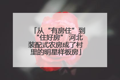 从“有房住”到“住好房” 河北装配式农房成了村里的明星样板房