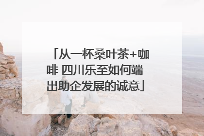 从一杯桑叶茶+咖啡 四川乐至如何端出助企发展的诚意