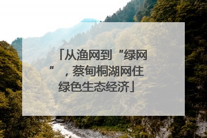 从渔网到“绿网”，蔡甸桐湖网住绿色生态经济