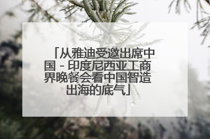 从雅迪受邀出席中国－印度尼西亚工商界晚餐会看中国智造出海的底气