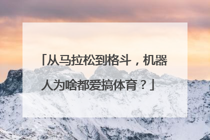 从马拉松到格斗，机器人为啥都爱搞体育？