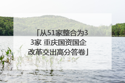 从51家整合为33家 重庆国资国企改革交出高分答卷