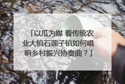 以瓜为媒 看传统农业大镇石莲子镇如何唱响乡村振兴协奏曲？
