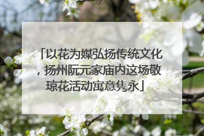 以花为媒弘扬传统文化，扬州阮元家庙内这场敬琼花活动寓意隽永