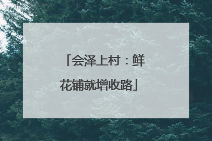 会泽上村：鲜花铺就增收路