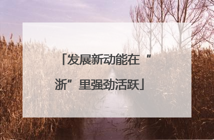 发展新动能在“浙”里强劲活跃