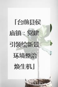 台前县侯庙镇：党建引领绘新景 环境整治焕生机