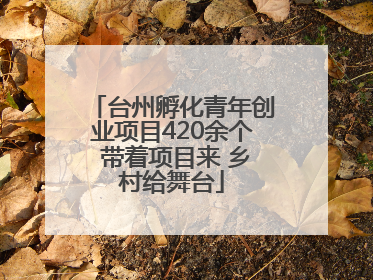 台州孵化青年创业项目420余个 带着项目来 乡村给舞台